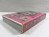 Chitei Tairiku Ordola Boxed Nintendo Famicom Disk Japan - DL7270