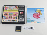 Super Princess Peach Boxed Nintendo DS Japan - DL7705 - Photo 2