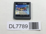 Mystery Dungeon Shiren the Wanderer 4 Nintendo DS Japan - DL7789 - Photo 1
