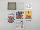 Pro Wrestling Boxed Nintendo Famicom Disk Japan - DL7965 - Photo 1