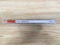 FJ1764 Frame Gride Dreamcast Japan