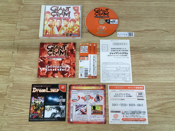 FJ1774 Giant Gram All Japan ProWrestling 2 Dreamcast Japan