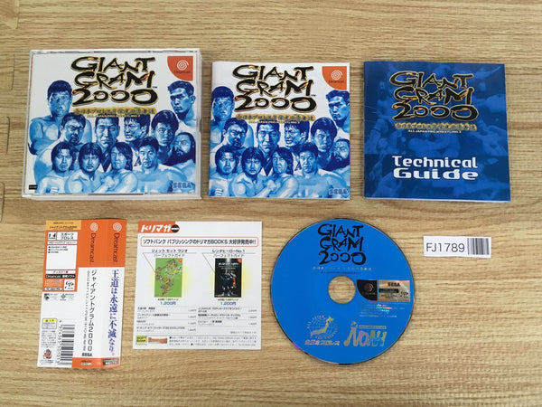 FJ1789 Giant Gram 2000 All-Japan Pro Wrestling 3 Dreamcast Japan