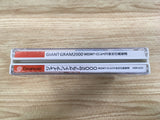 FJ1789 Giant Gram 2000 All-Japan Pro Wrestling 3 Dreamcast Japan
