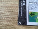 FJ1879 Dragon Force Sega Saturn Japan