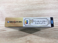 FJ1894 Phantasy Star Collection Sega Saturn Japan
