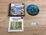 FJ2250 Popolocrois PS1 Japan
