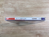 FJ2317 Dino Crisis Dreamcast Japan