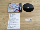 FJ2402 Alice In Cyberland PS1 Japan