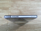 FJ2404 Koutetsu Reiki Steeldom PS1 Japan