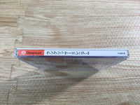 FJ2422 Langrisser Millennium Dreamcast Japan