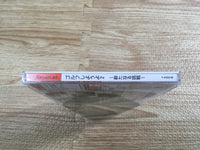FJ2430 Golf Shiyouyo 2 Aratanaru Chousen Dreamcast Japan