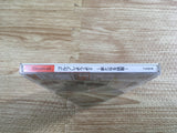 FJ2430 Golf Shiyouyo 2 Aratanaru Chousen Dreamcast Japan