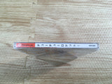 FJ2440 ChuChu Rocket Dreamcast Japan