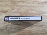 FJ2445 Power Instinct Gouketsuji Ichizoku 2 Chottodake SaikyouDensetsu PS1 Japan