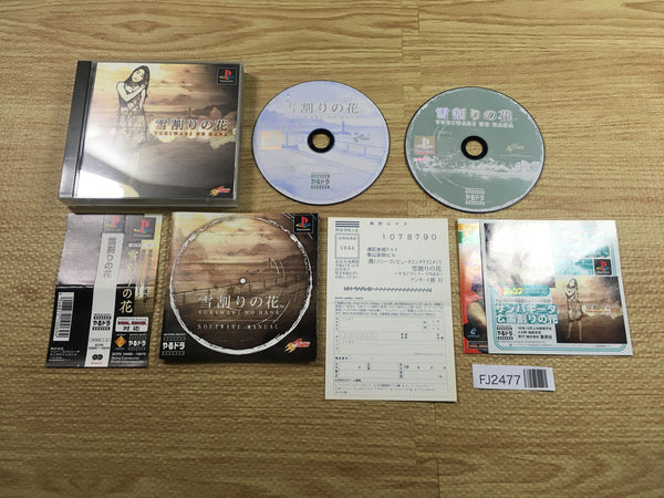 FJ2477 Yarudora Series 4 Yukiwari No Hana PS1 Japan