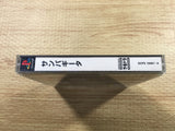FJ2479 Yarudora Series 3 Sampaguita PS1 Japan