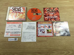 FJ2498 Giant Gram All Japan ProWrestling 2 Dreamcast Japan