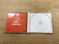 FJ2498 Giant Gram All Japan ProWrestling 2 Dreamcast Japan