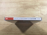 FJ2498 Giant Gram All Japan ProWrestling 2 Dreamcast Japan