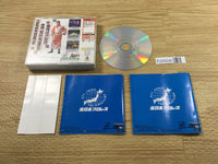 FJ2506 Giant Gram 2000 All-Japan Pro Wrestling 3 Dreamcast Japan