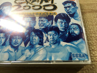 FJ2506 Giant Gram 2000 All-Japan Pro Wrestling 3 Dreamcast Japan