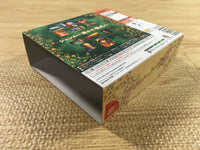 FJ2511 Shenmue II 2 Limited Dreamcast Japan