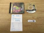 FJ2640 Sword and Sorcery Sega Saturn Japan