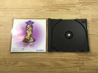 FJ2640 Sword and Sorcery Sega Saturn Japan