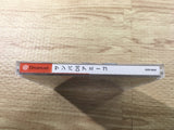 FJ2802 Samba de Amigo Dreamcast Japan