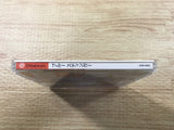 FJ2873 BLUE STINGER Dreamcast Japan