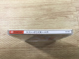FJ2882 Dream Passport 3 Dreamcast Japan