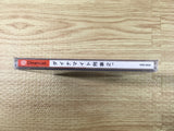 FJ2885 Dynamite Deka 2 Dreamcast Japan