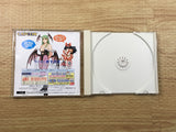 FJ2904 Capcom vs. SNK Millennium Fight 2000 Pro Dreamcast Japan