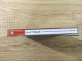 FJ2936 Giant Gram All Japan ProWrestling 2 Dreamcast Japan