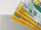 FJ3303 Pro Yakyuu Team o Tsukurou Dreamcast Japan