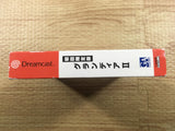 FJ3443 Grandia II 2 First Limited Special Package Dreamcast Japan