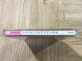 FJ3615 Fighting Vipers 2 FV2 Dreamcast Japan
