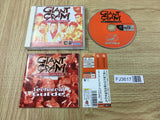 FJ3617 Giant Gram All Japan ProWrestling 2 Dreamcast Japan