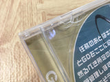 FJ4111 Giga Wing 2 SEGA DreamCast Japan