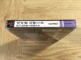 FJ4595 Resident Evil Biohazard Director's Cut SONY PS1 Japan