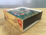 FJ4610 Shenmue II 2 Limited SEGA DreamCast Japan