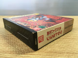 FJ4740 Ultraman Hikari no Kyojin Densetsu SEGA SATURN Japan