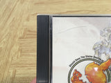 FJ4943 Valkyrie Profile SONY PS1 Japan