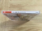 FJ5008 Cool Boarders Burrrn SEGA DreamCast Japan