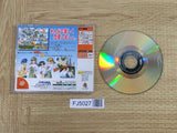 FJ5027 Netto de Para Nekosogi Paradise SEGA DreamCast Japan