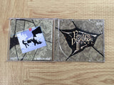 FJ5220 Panzer Dragoon Zwei SEGA SATURN Japan