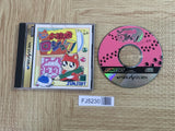 FJ5230 O-chan no Oekaki Logic SEGA SATURN Japan