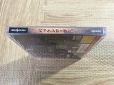 FJ5247 Wachenroder SEGA SATURN Japan