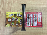 FJ5291 Riglord Saga SEGA SATURN Japan